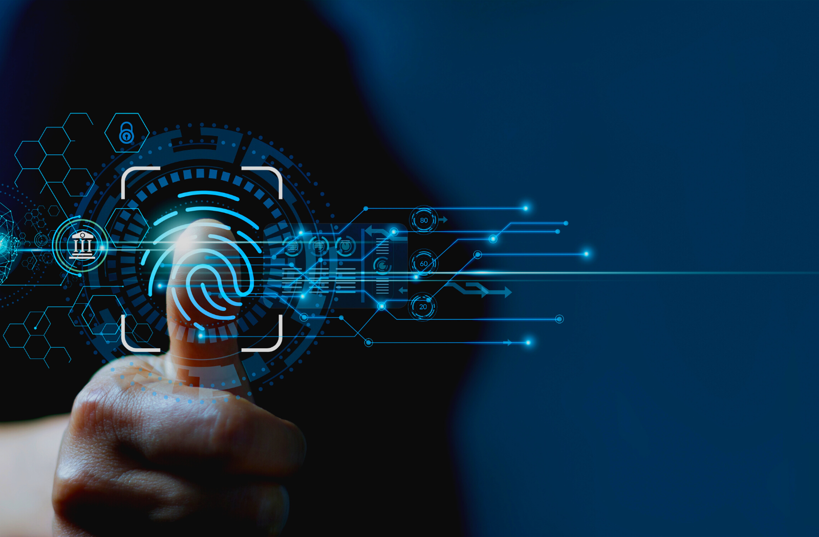 Everything you need to know about the Biometric Passport