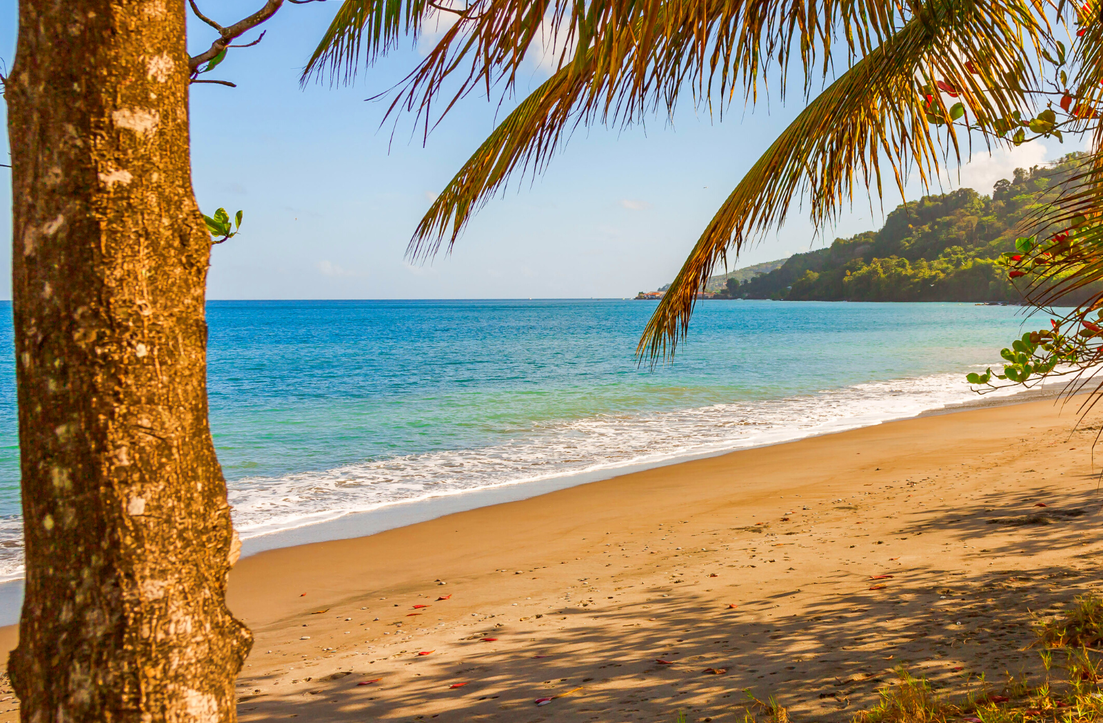 Explore Investment Opportunities in Grenada
