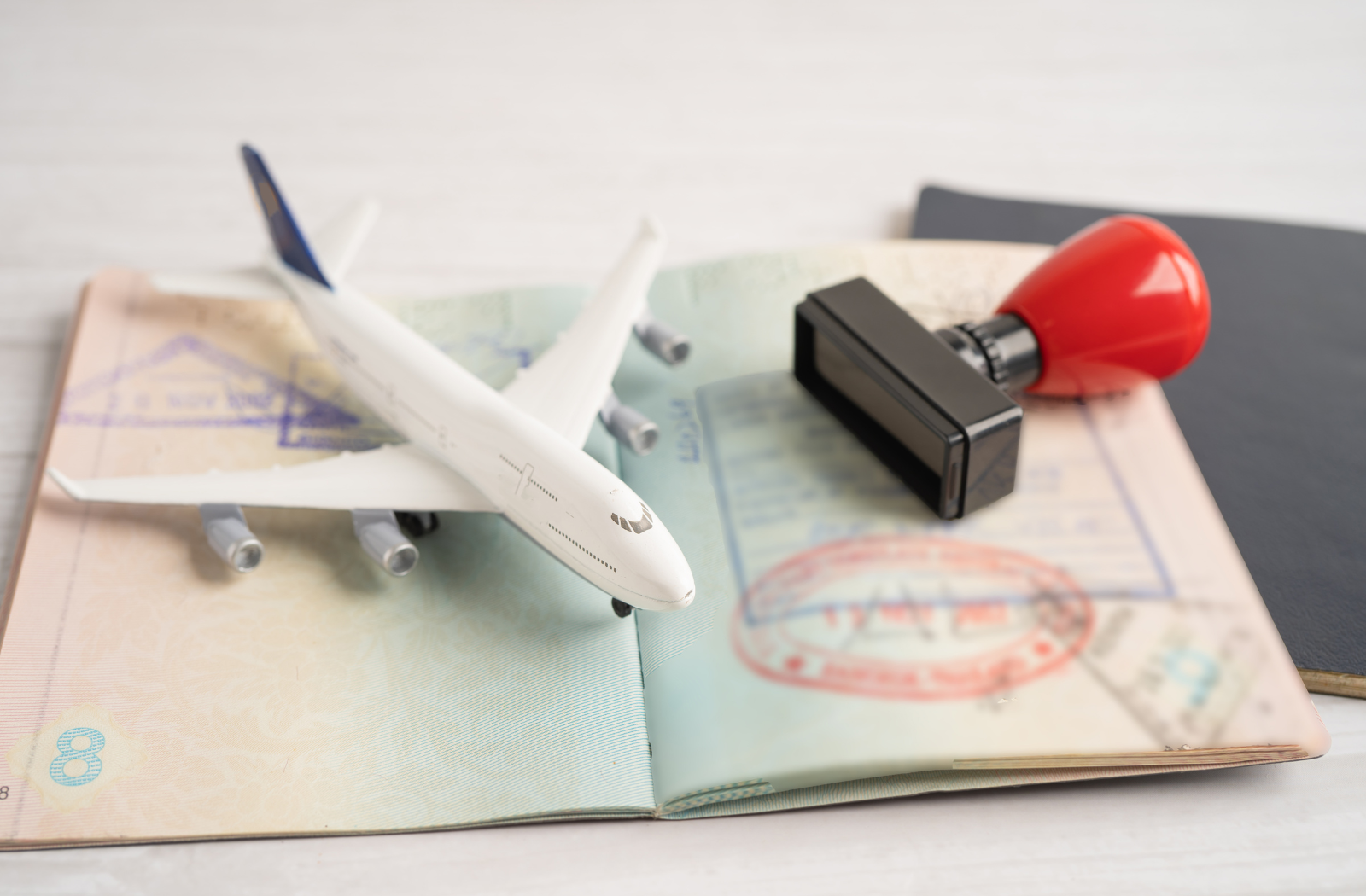 What are the types of international mobility visas?