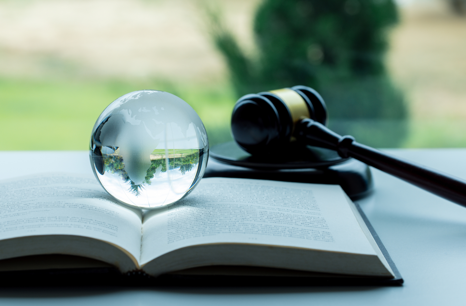 Everything you need to know about the legal aspects of corporate investing